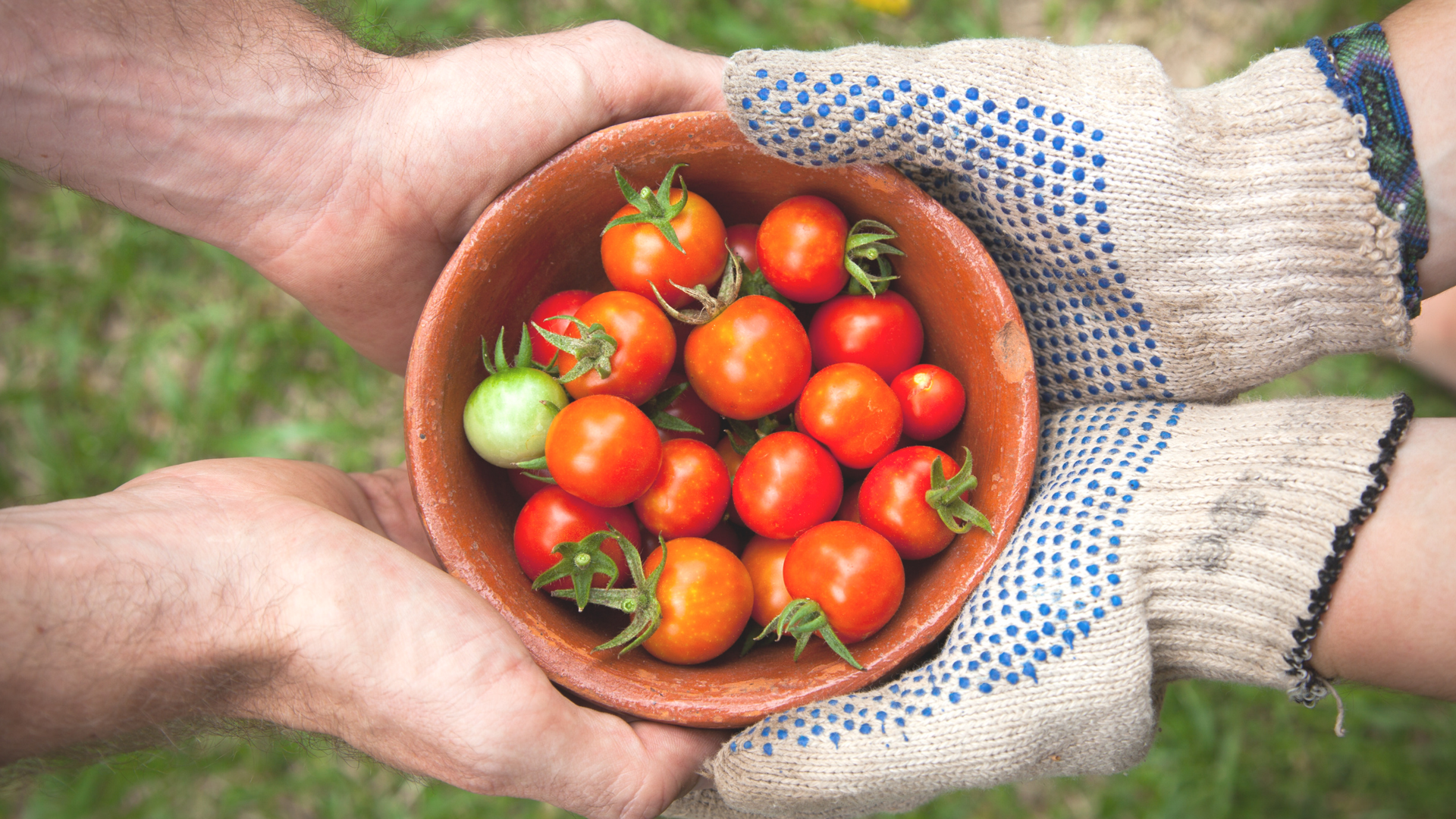 Photo Credit: Elaine Casap via Unsplash - Vit C in tomatoes: 13.7mg/100g