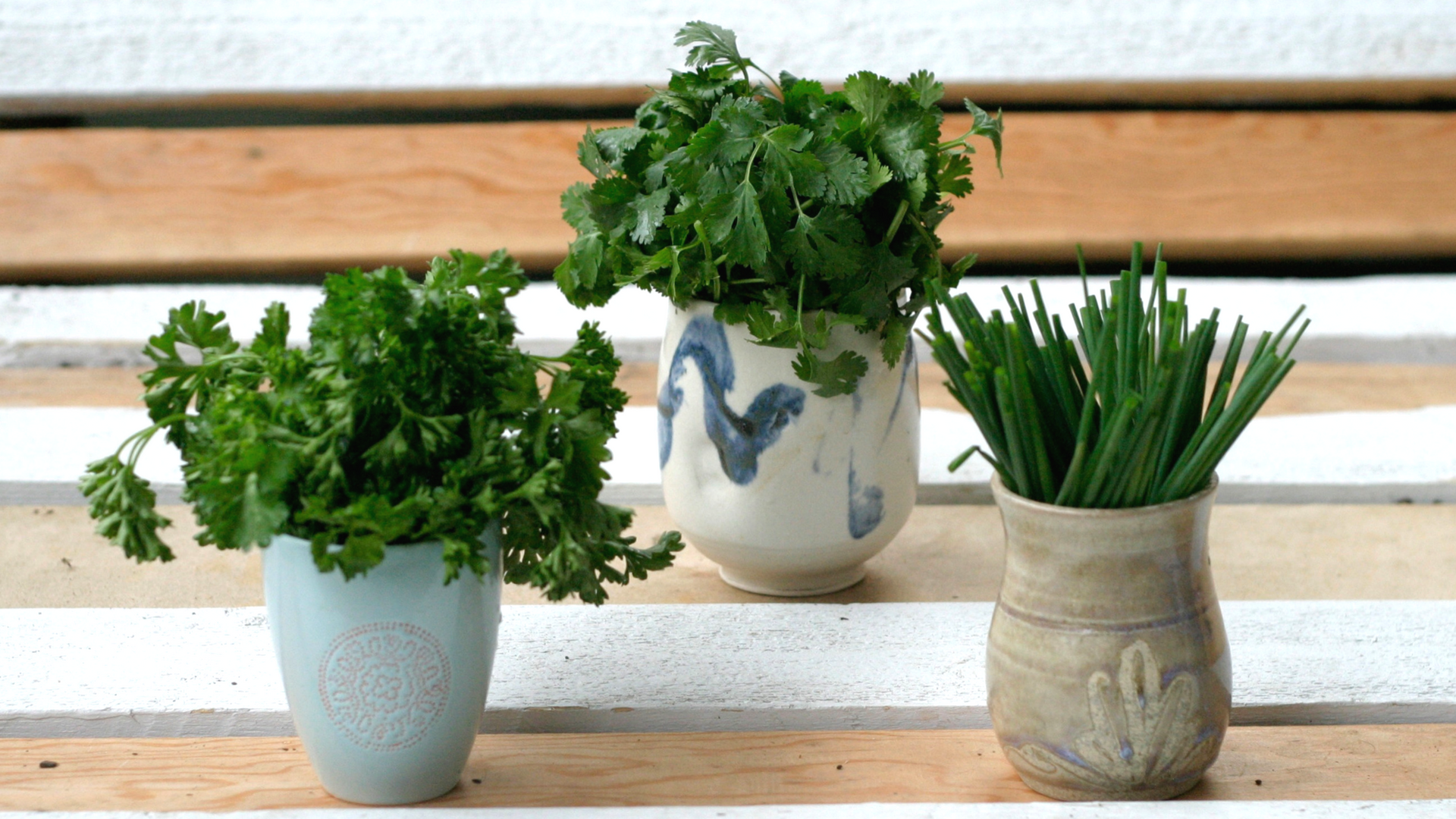 Photo Credit: the Green Moustache - Vit C in parsley: 133mg/100g